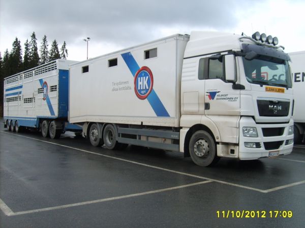 Veljekset Silvennoisen MAN TGX 26.540 
Veljekset Silvennoinen Oy:n MAN TGX 26.540 eläinten kuljetusyhdistelmä.
Avainsanat: Silvennoinen MAN TGX 26.540 ABC Hirvaskangas HK Eläinkuljetus