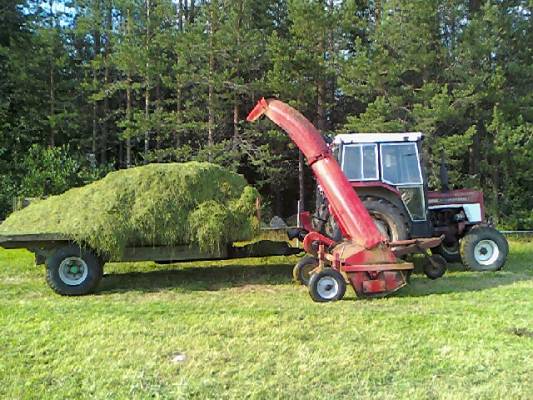 Laidunmaalta rehun pois ajoa natikalla
