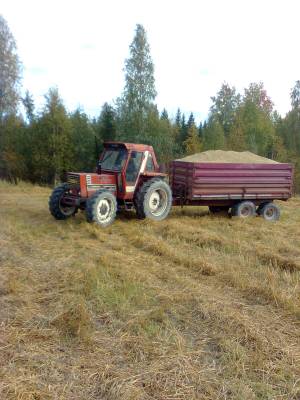 fiat ja pehtoorit lähdössä viemään viljakuormaa kuivurille.
Avainsanat: kone