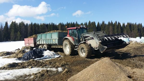 Rehua kotiapäin
Eväitten siirtelyä hieman kosteissa olosuihteissa 
Avainsanat: valtra