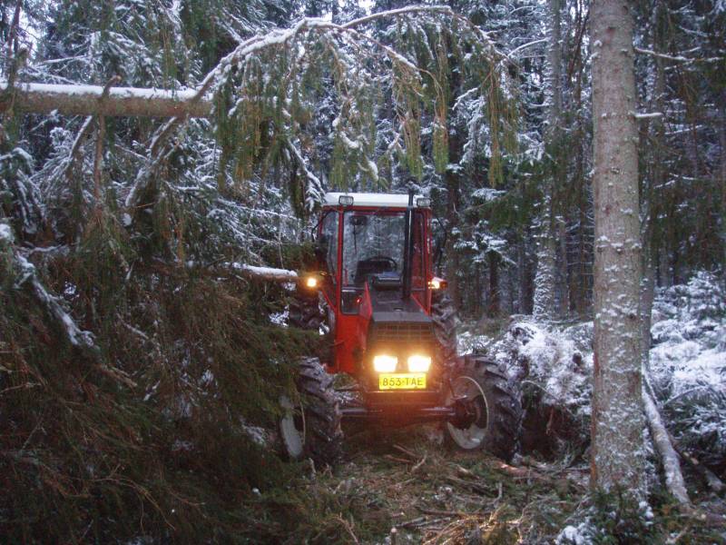 Ajomaisemaa
On paikoitellen "yläkerran metsuri" kaatanut kuusta päällekkäin.
