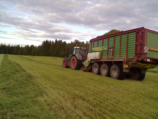 rehun kerruuta
fendt 933 ja rautsmannit
Avainsanat: fendt strautmann