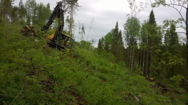 Kannonnostoa/muokkausta
Muutamat kannot tuli tuosta revittyä mutta pääasiassa muokattiin vaan..
