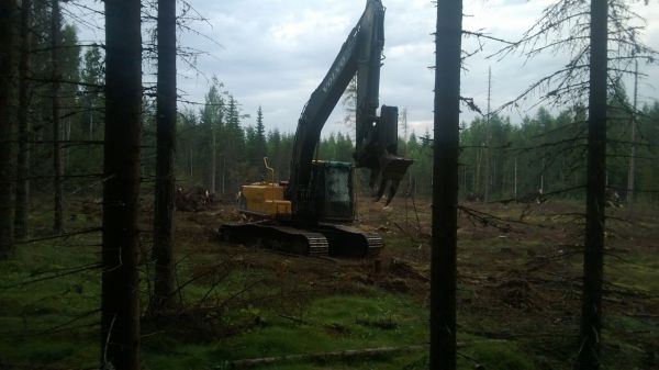 Kesäiltojen viettoa.
Evästaukoa ja kuvien ottamista. Mukavan tasainen maasto.
