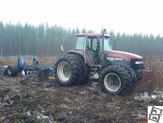 M135 ja dalbo
Vähä pajukkoo pellolla
Avainsanat: pajukko