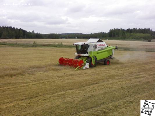 Medion 310 työntouhussa
Avainsanat: Claas Medion