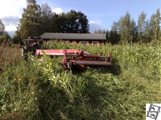 Menee se maissi niittokoneellakin
Traktorina Valtra A95 ja niittokone JF GMS 3200 Flex.
Epäiltiin alussa, että mitenkähän käy mutta hyvin käy... :)
Avainsanat: maissi